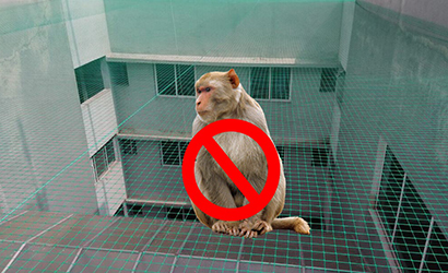 monkey-safety-nets1