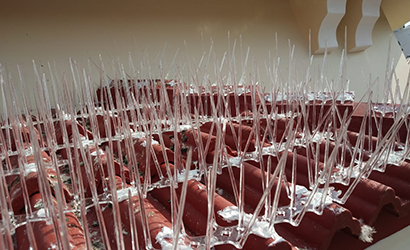 spikes1